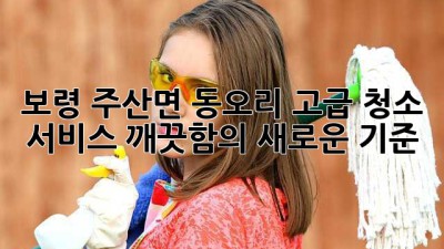 보령 주산면 동오리 고급 청소 서비스: 깨끗함의 새로운 기준