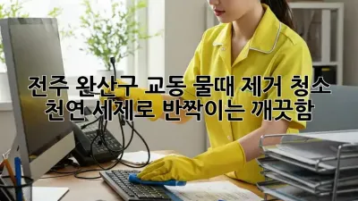 전주 완산구 교동 물때 제거 청소 : 천연 세제로 반짝이는 깨끗함!