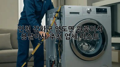 인천 강화군 양도면 원룸이사, 용달이사 추천 업체 리스트